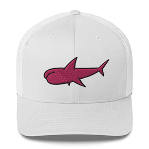 Buttshark - cap